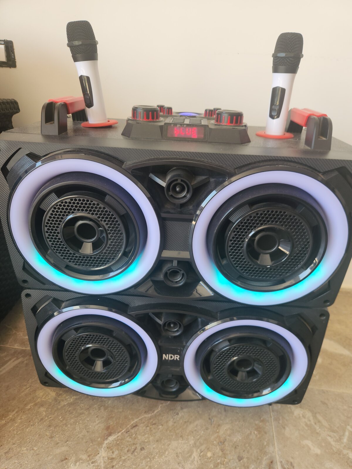 Enceinte karaoké avec 2 micros et éclairage LED, villa Dar Sekia