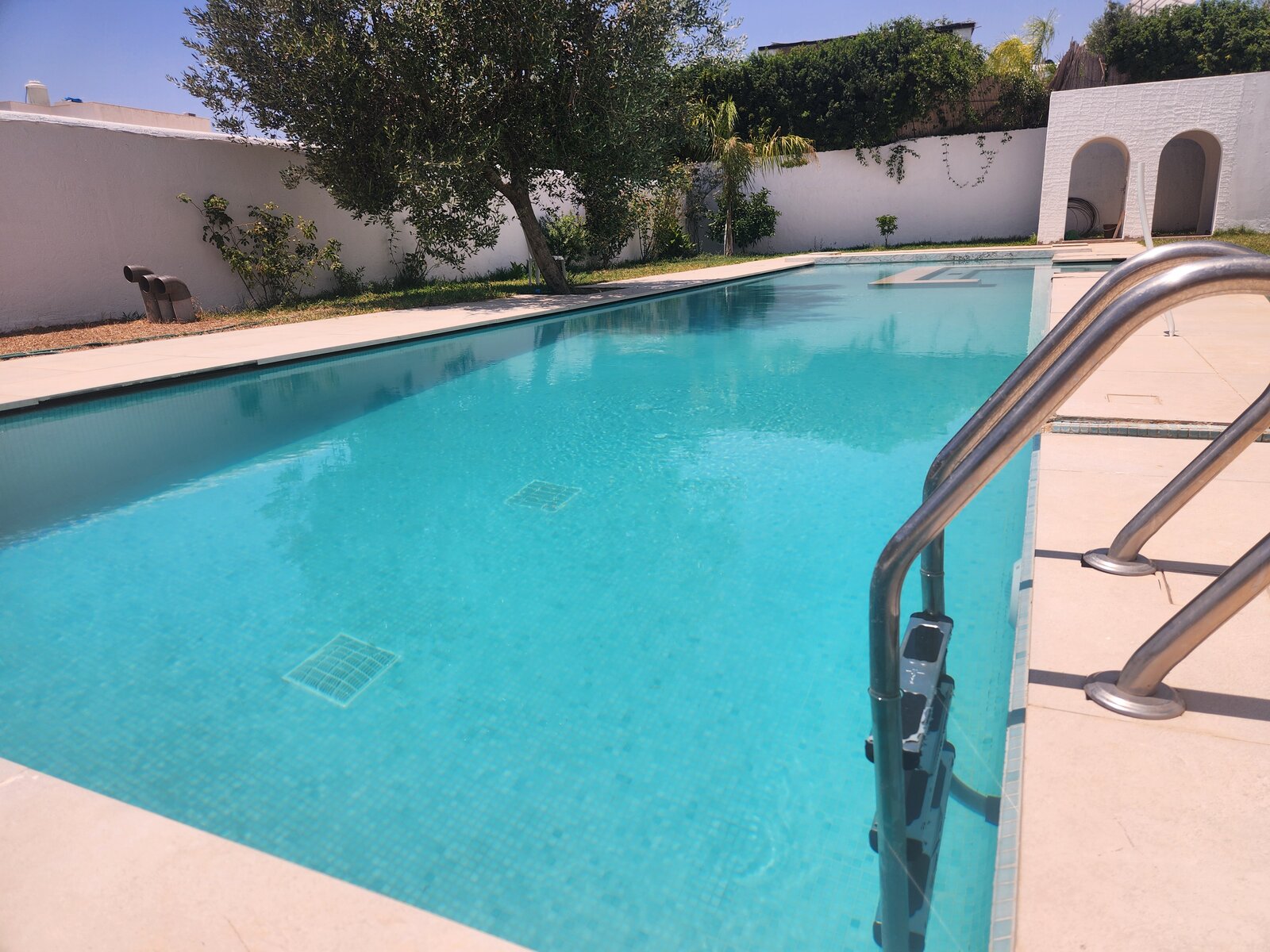 Piscine turquoise de 18 mètres avec échelle, sous l'olivier, villa Dar Sekia