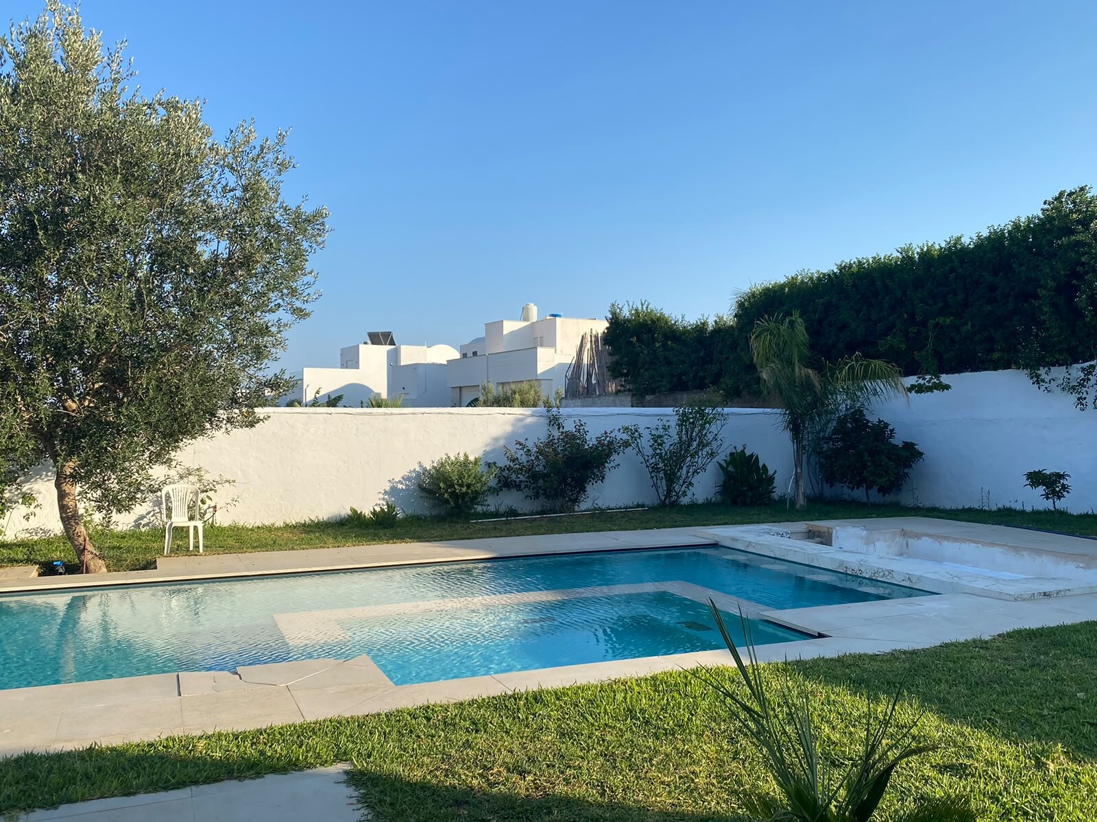 Piscine et jardin verdoyant sous l'olivier, lumière du soir, villa Dar Sekia Hammamet