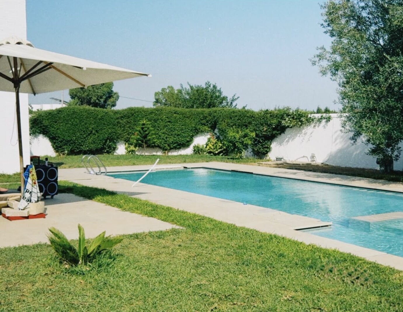 Baignade dans la piscine par une journée ensoleillée, parasol et olivier, villa Dar Sekia